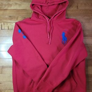 Polo Ralph Lauren Sweater Hoodie